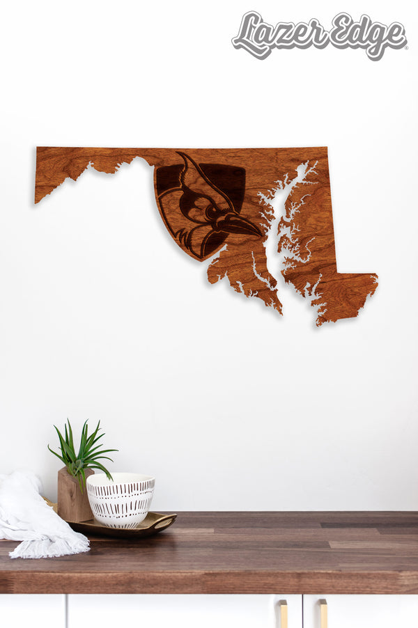 Johns Hopkins Wall Hanging Shield on State