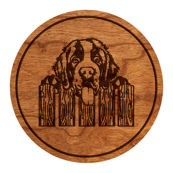 Dog Coaster Saint Bernard