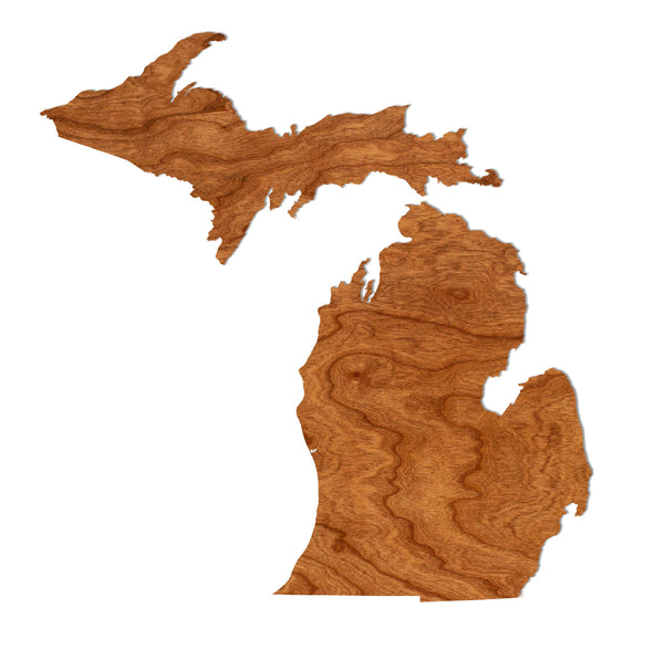 State Map Wall Hanging Michigan